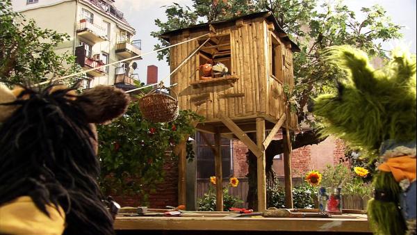 Pferd und Wolle bauen gerade ein Baumhaus, als Finchen ein großes Paket in die Möhre bringt. | Rechte: NDR/Studio Hamburg