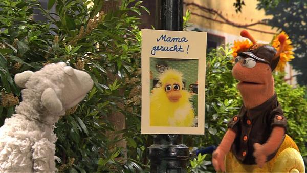 Wolle und Finchen betrachten das Plakat "Mama gesucht". | Rechte: NDR Foto: screenshot