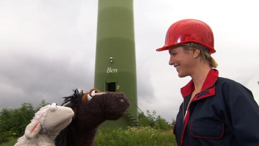 Wolle, Pferd und Julia im Windpark.