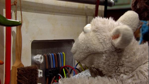 Folge 143: Wolle versucht verzweifelt den kaputten Herd zu reparieren. | Rechte: NDR/Sesame Workshop