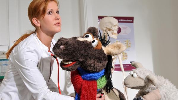 Pferd und Wolle beim Arzt | Rechte: NDR / Uwe Ernst