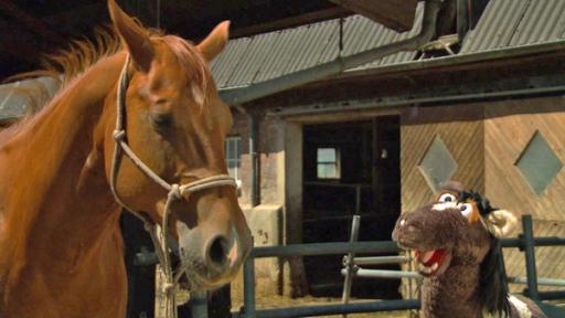 Pferd mit einem echten Pferd.