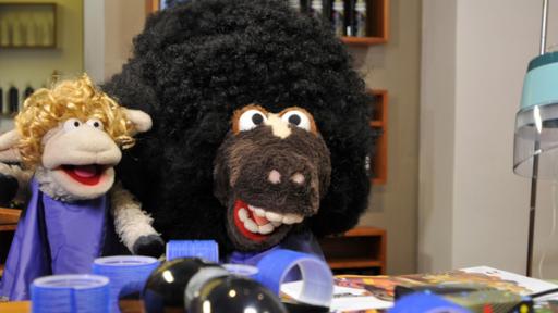 Wolle und Pferd beim Friseur