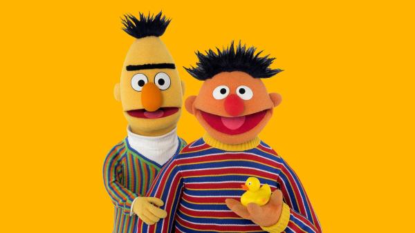 Ernie bringt Bert Entensprache bei. Elmo verfolgt einen Schmetterling und Mariechen empfängt in ihrer TV-Show eine sprechende Kuh. | Rechte: NDR
