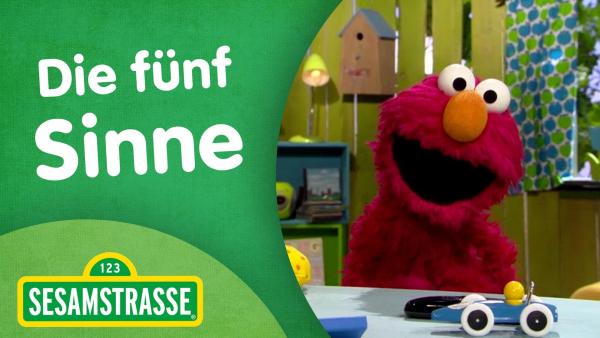 Folge 2880. Die fünf Sinne - Thumbnail mit Elmo | Rechte: NDR