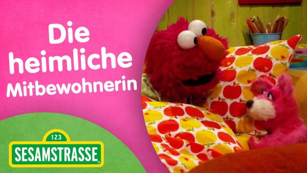 Folge 2890: Thumbnail mit Elmo | Rechte: NDR/Sesame Workshop