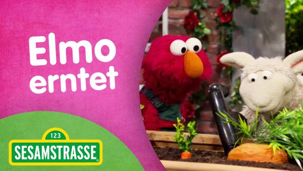 Folge 2892: Thumbnail mit Elmo und Wolle | Rechte: NDR/Sesame Workshop