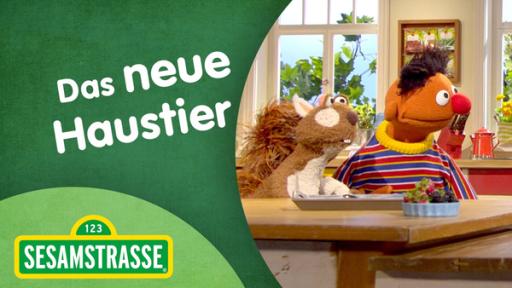 Sesamstraße: Das neue Haustier