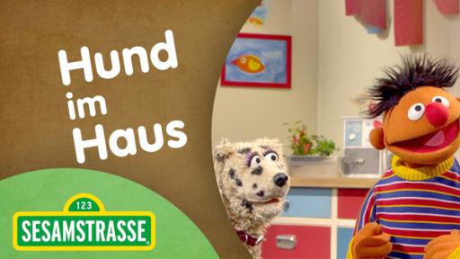 Sesamstrasse: Hund im Haus