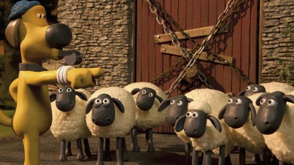 Zutritt verboten! Bitzer hat für die Schafe eine neue Unterkunft. | Rechte: WDR/Aardman Animation Ltd./BBC