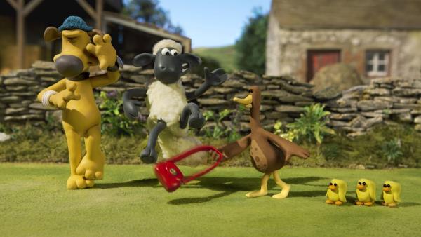 Shaun erfährt: Mit der Entenmama ist nicht gut Kirschen essen. | Rechte: WDR/Aardman Animation Ltd./BBC