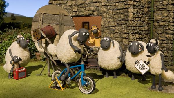 Der kaputte Fernseher des Bauern hält die Schafe ganz schön auf Trab. | Rechte: WDR/Aardman Animation Ltd./BBC