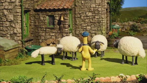 Die Schafe suchen das letzte Teil des Puzzles.  | Rechte: © KiKA