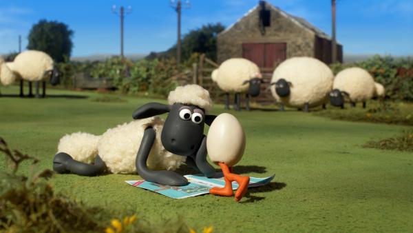 Ein Ei auf zwei Beinen? Die erste Begegnung zwischen Shaun und Gänschen Goz. | Rechte: WDR/BBC/Animation Ltd.