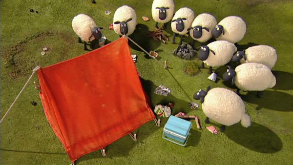 Ein Zelt auf ihrer Wiese und Chaos drumherum - Die Schafe stehen ratlos und neugierig davor. | Rechte: WDR/Aardman Animation Ltd./BBC