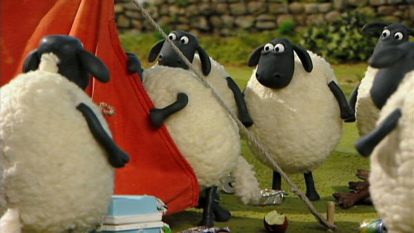 Die Schafe können ihre Neugier nicht bremsen und wagen einen Blick in's Zelt des Besuchers. | Rechte: WDR/Aardman Animation Ltd./BBC