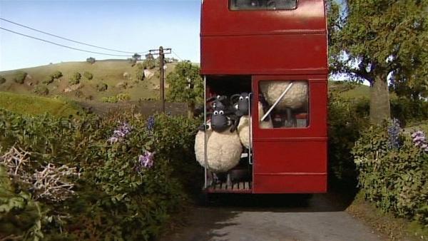 Ein Bus voller Schafe. Aber wohin wollen sie denn? | Rechte: WDR/Aardman Animation Ltd./BBC