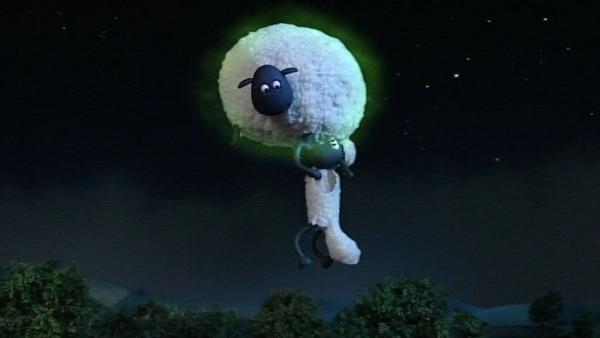 Können Schafe fliegen? In dieser Nacht ist alles möglich. Shirley bleib hier! | Rechte: WDR/Aardman Animation Ltd./BBC