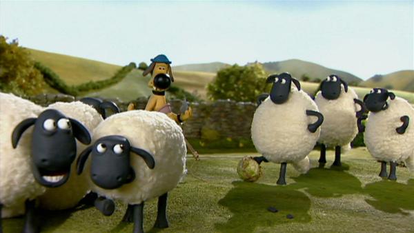 Schafe spielen kein Fußball? Falsch, ein Fußballspiel bringt das Leben auf der Farm gehörig durcheinander. | Rechte: WDR/Aardman Animation Ltd./BBC