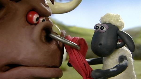 Auge in Auge mit dem großen Stier. Kann Shaun ihn beruhigen? | Rechte: WDR/Aardman Animation Ltd./BBC