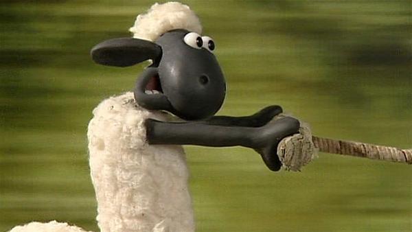 Der neue Farmbewohner hält Shaun ziemlich in Atem. | Rechte: WDR/Aardman Animation Ltd./BBC
