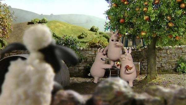 Der Apfelbaum steht bei den Schweinen. Werden sie die reifen, leckeren Früchte teilen? | Rechte: WDR/Aardman Animation Ltd./BBC