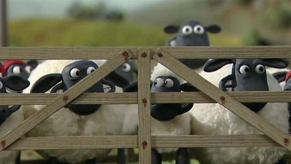 Eingepfercht! Müssen die Schafe hilflos zusehen, wie der Farmer den alten Baum fällt? | Rechte: WDR/Aardman Animation Ltd./BBC