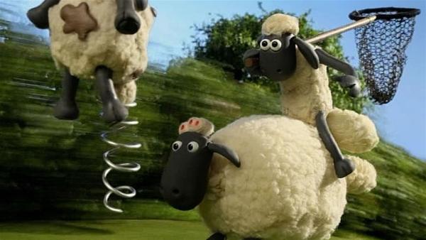 Timmy ist nicht zu stoppen. Kann Shaun ihn mit dem Netz fangen? | Rechte: WDR/Aardman Animation Ltd./BBC