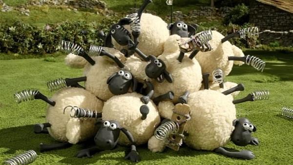 Hüpfen kann nicht jeder, sonst gibt es am Ende: einen Haufen Schafe! | Rechte: WDR/Aardman Animation Ltd./BBC
