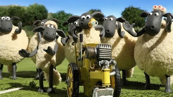 Die Schafe haben eine komische Maschine entdeckt. Die fährt und macht weiße Linien. | Rechte: WDR/Aardman Animation Ltd./BBC