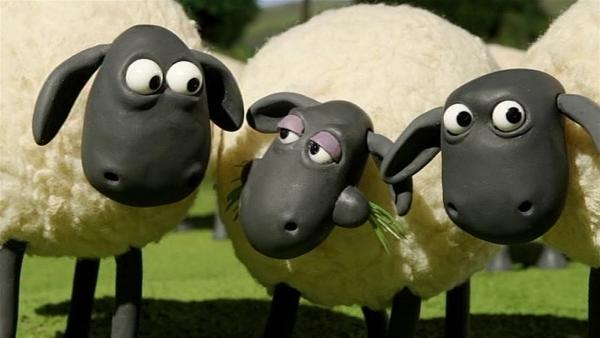 Verwirrung auf der Schafweide: Wer hat Bitzers Hut genommen? | Rechte: WDR/Aardman Animation Ltd./BBC