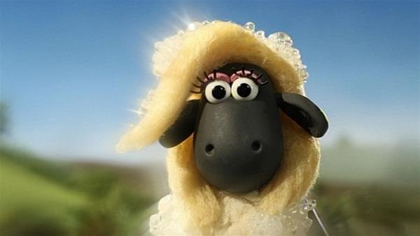 Da muss Shaun zweimal hinsehen. Aus dem Schaumbad steigt ein wunderschönes Schaf. | Rechte: WDR/Aardman Animation Ltd./BBC