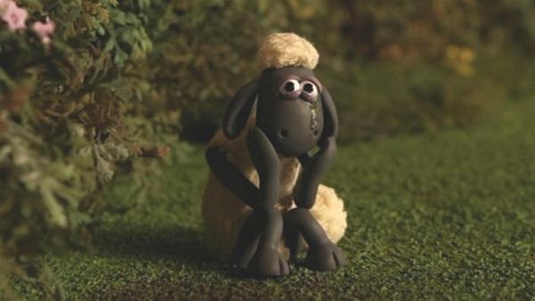 Shaun ist verliebt und ganz schön traurig. Was kann ihm da helfen? | Rechte: WDR/Aardman Animation Ltd./BBC