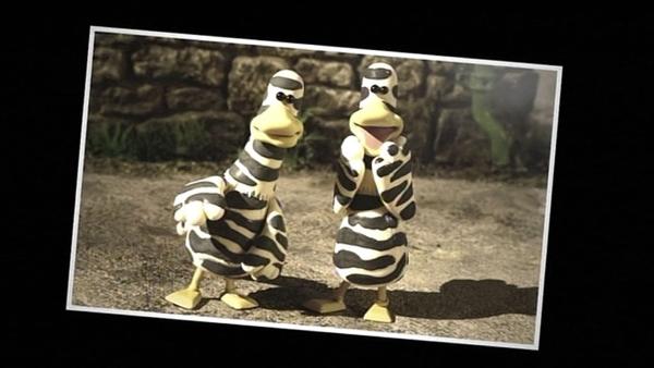 Wer sind diese seltsamen Vögel? Ein Schnappschuss soll es klären. | Rechte: WDR/Aardman Animation Ltd./BBC