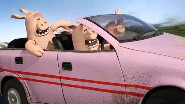 Auch die Schweine sind im Rausch der Geschwindigkeit. Wohin wollen sie denn fahren? | Rechte: WDR/Aardman Animation Ltd./BBC