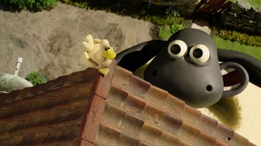 Supersize Timmy | Rechte: WDR Supersize Timmy
