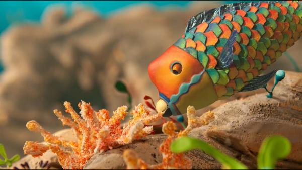 Im Korallenriff gibt es die leckersten und knackigsten Korallen für das kleine Fischkind zu knabbern, bevor es sich zum Schutz zwischen dem Meeresgewächs für die Nacht zurückzieht. | Rechte: rbb/Vidéolotion-Praça Filmes/JPL Films/France Télévisions/Radio e televisao de Portugal 2019