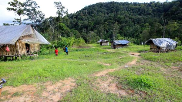 Das kleine Dorf der Orang Ursli, der Waldmenschen, liegt mitten im Dschungel. Wegen der Plantagen für Gemüse und Palmöl mussten sie schon einmal umziehen. | Rechte: ZDF/Katja Engelhardt