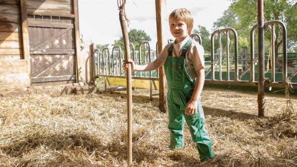 Justus versorgt auf Gut Giffelsberg gerne die Kühe, Gänse und Hühner. | Rechte: ZDF /Ingo Hattendorf