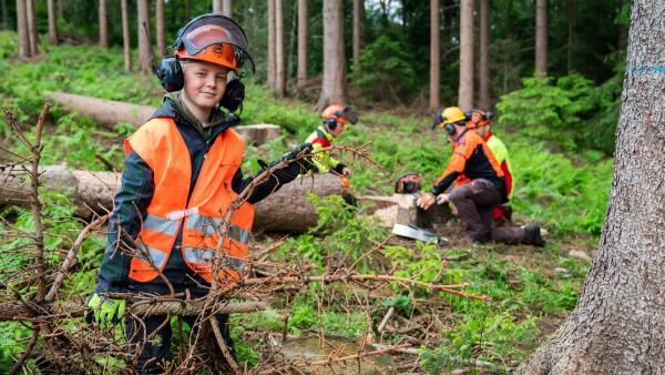 Mika ist der Sohn eines Försters und darf den Waldarbeitern helfen. Sie fällen abgestorbene Bäume, zerkleinern sie und transportieren sie ab. Borkenkäfer haben dem Nadelholz zugesetzt. | Rechte: ZDF/Florian Lippke