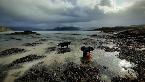 Aonghas sucht im seichten Wasser nach Meerestieren. Sein Hund Lilly begleitet ihn immer. | Rechte: ZDF/Magnus Graham