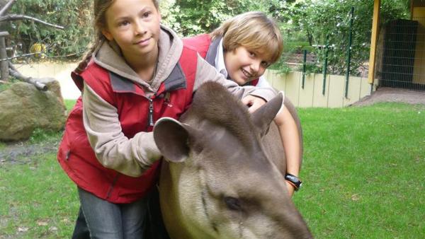 Johanna und Luca haben bei einem Casting zum "Kinderzoodirektor" im Kölner Zoo teilgneommen und gewonnen. Nun können sie ihren Traumberuf über mehrere Wochen ausprobieren... | Rechte: ZDF/SR