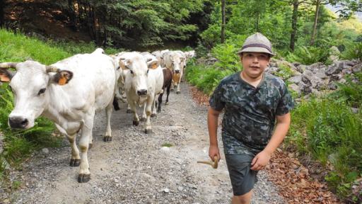 stark! - Thomas - Cowboy in Italien