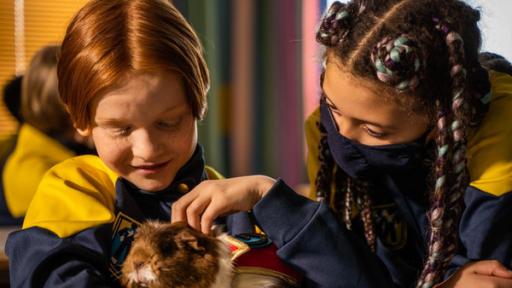 Magnus hält im Klassenzimmer glücklich lächelnd ein Meerschweinchen in seinen Armen und streichelt es mit seiner linken Hand. Rechts von ihm befindet sich Jenny, die sich mit einer Schutzmaske im Gesicht zum Meerschweinchen beugt.