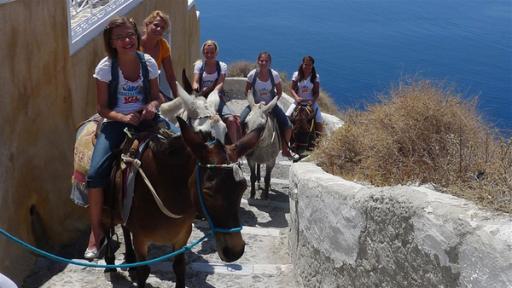 TANZALARM! - Auf Europatour; Singa und die TANZALARM!-Kids auf Eseln unterwegs in Griechenland, auf der Insel Santorin.