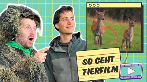 Links steht Tim in Tarnkleidung. Er zeigt staunend auf ein Foto mit einer Hirschkuh mit Kalb. Rechts neben ihm steht Tierfilmer Gamander und schaut auf das Foto.