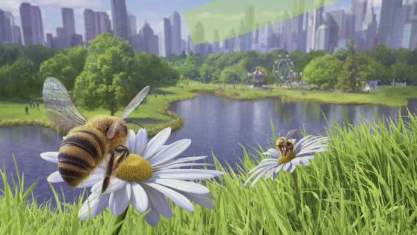 Bee Simulator | Rechte: KiKA