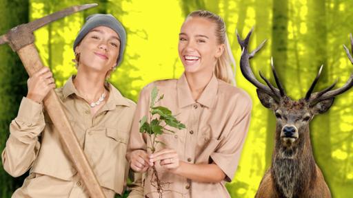 Ranger: Abenteuer im Wald mit Lisa und Lena