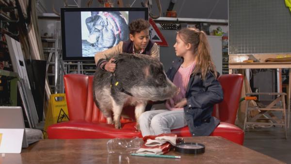 Jamey und Lina haben ein Schwein zu Besuch. | Rechte: NDR/NTR/Ketnet 2019