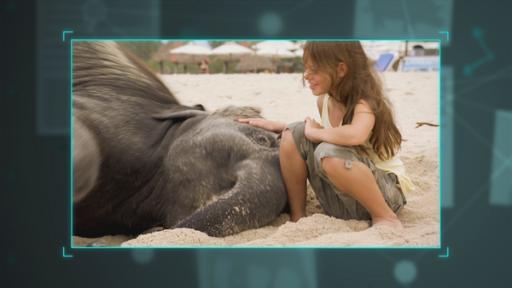 Folge 13. Elefant Ning-Nong: Ning Nong mit Amber am Strand von Thailand